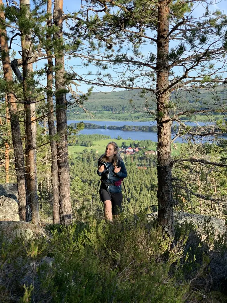 Vandring i Järvsö - bergshotellet.se